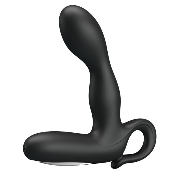 Vibrating Prostate Massager BI-040028
