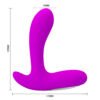 Vibrating Prostate Massager BI-040029