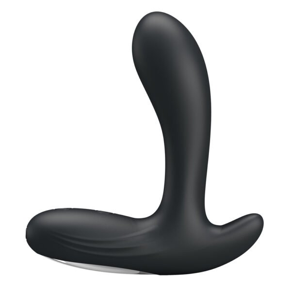 Vibrating Prostate Massager BI-040029