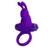 Vibrating Rabbit Cock Ring BI-210204