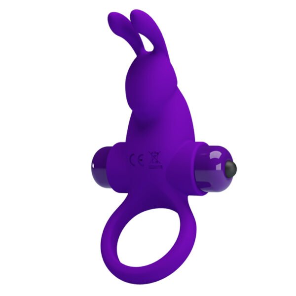 Vibrating Rabbit Cock Ring BI-210204