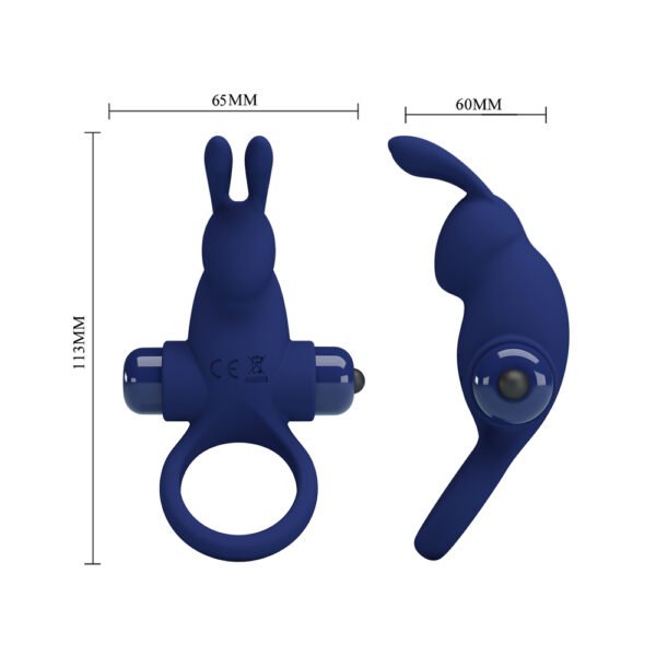 Vibrating Rabbit Cock Ring BI-210204