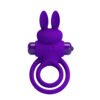 Vibrating Bunny Cock Ring BI-210206