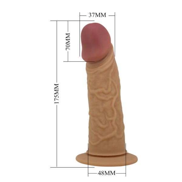 6.8" Vibrating Dildo Strap On BW-022073