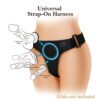 Universal Suction Base Dildo Panty BW-022086