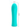 Smooth Clitoral Vibrator BW-500018