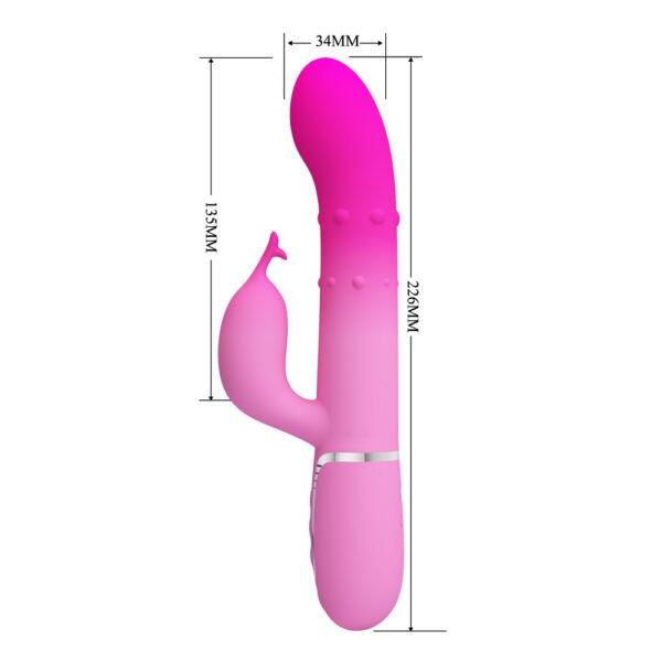 Gradient Pink Rotation Rabbit Vibrator BW-500051-4