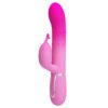 Gradient Pink Rotation Rabbit Vibrator BW-500051-4