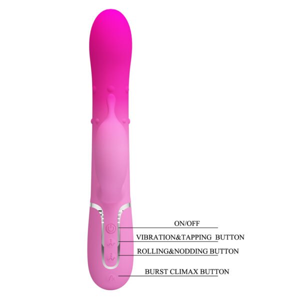 Gradient Pink Rotation Rabbit Vibrator BW-500051-4