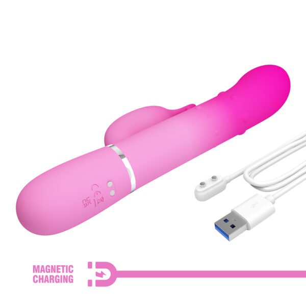 Gradient Pink Rotation Rabbit Vibrator BW-500051-4
