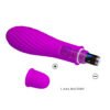 Clit G-Spot Vibrator 28pcs Pack Z010