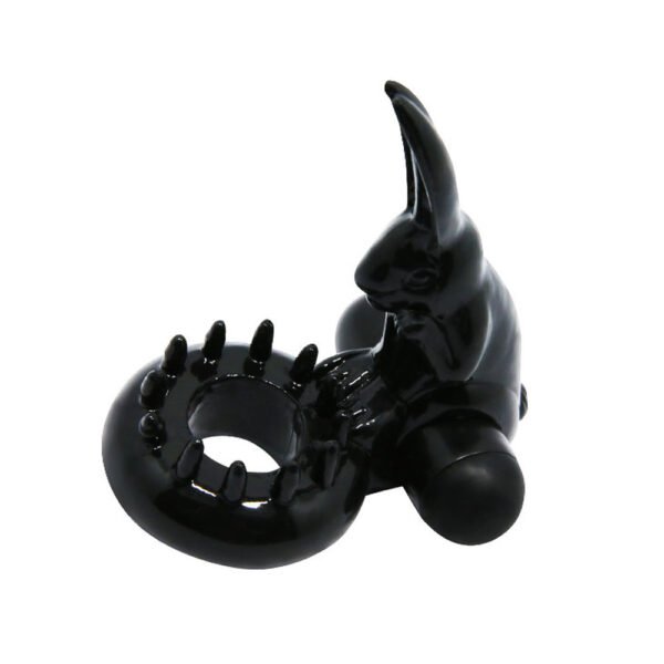 Rabbit Vibration Cock Ring BI-010132-2