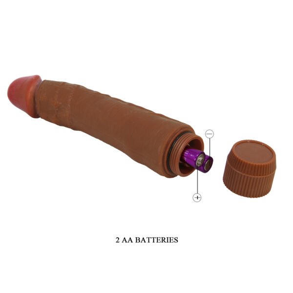 9.5" Vibrating Dildo BW-001071R