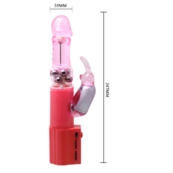 Rotation Rabbit Vibrator BW-004107SY