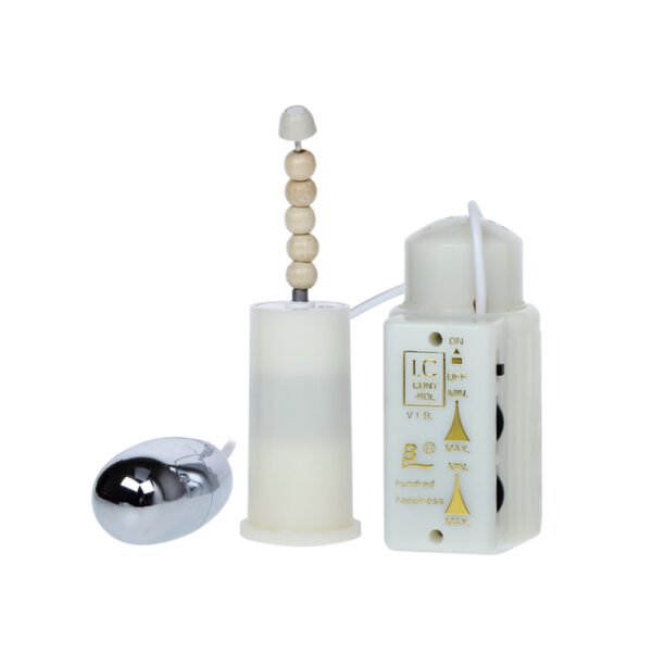 Rotation Dildo Ass Torso BW-008016