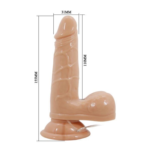 6.1" Rotation Dildo Vibrator BW-008054R