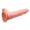 Vibration Rotation Dildo BW-008080