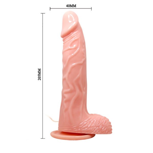 Vibration Rotation Dildo BW-008080