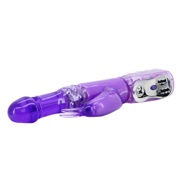 Rotation Rabbit Vibrator BW-020236R