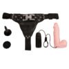 Multi Speed Vibration Dildo Strap On BW-022036