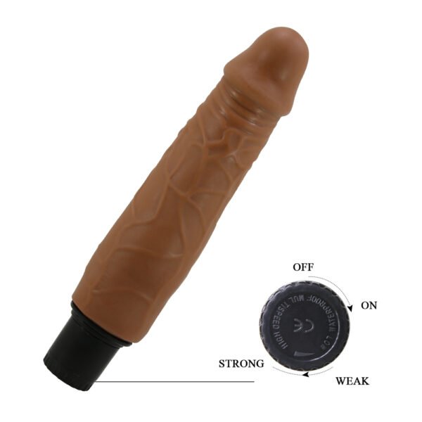 8.5" Vibrating Dildo BW-027003LP