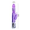 Rotating Thrusting Rabbit Vibrator BW-029533RSY