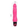 Vibrating Dildo BW-048003