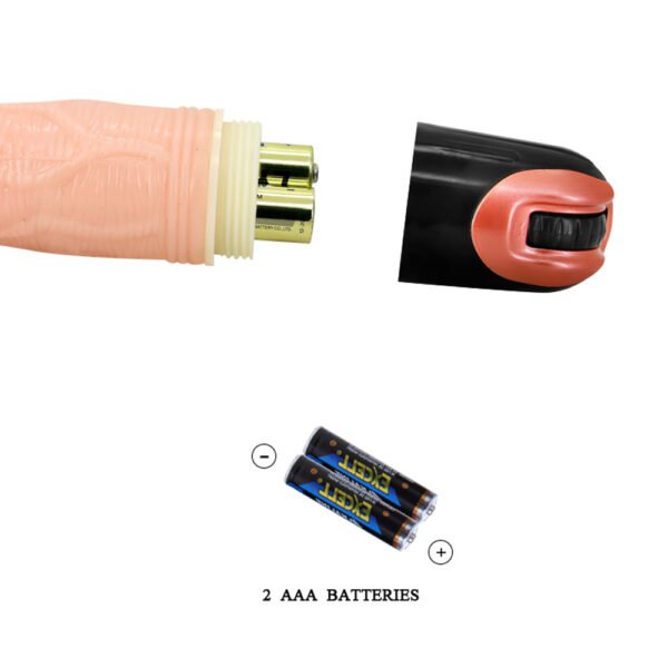 Vibrating Dildo BW-048004