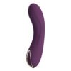 Fatty G-Spot Vibrator